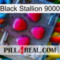 Black Stallion 9000 13